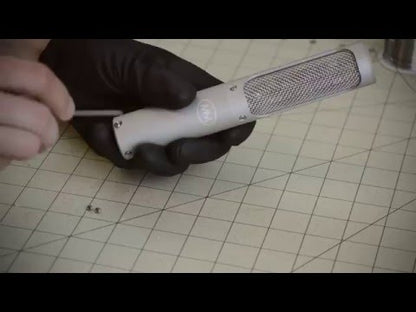 Mesanovic Model 2A